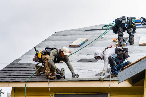 Professional Roofing technician working in Lima, NY